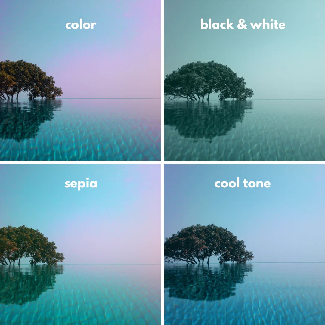 Filter Card : Dynamic