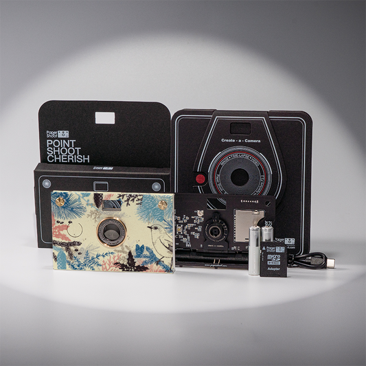 Paper Camera - Summer Bloom (Bright Day)