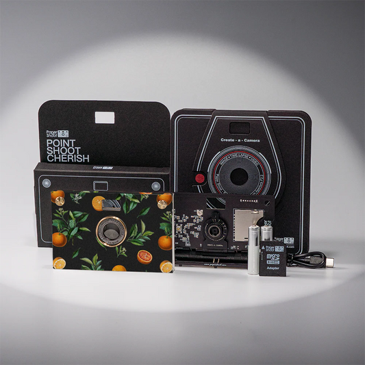 Paper Camera - Valencia Oranges