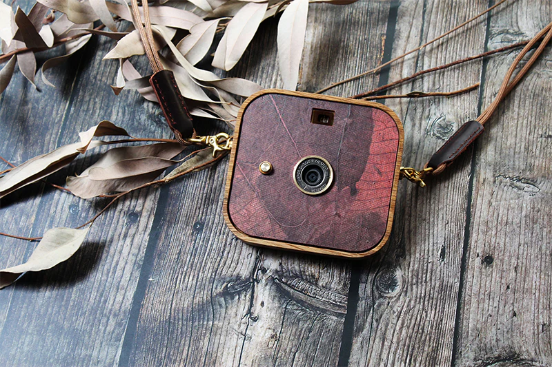 Thinkk & Shoot Camera : Leaf (Red Brown Summer Evening)