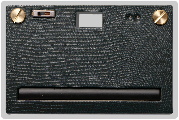 Leather Case : Spruce Green