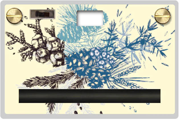 Paper Case - Summer Bloom (Bright Day)